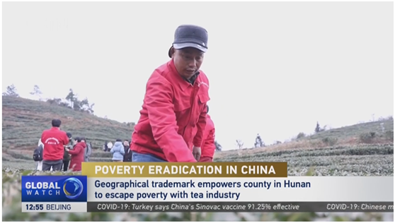 Poverty Eradication in China: Geographical Trademark Empowers County in Hunan to Escape Poverty with Tea Industry